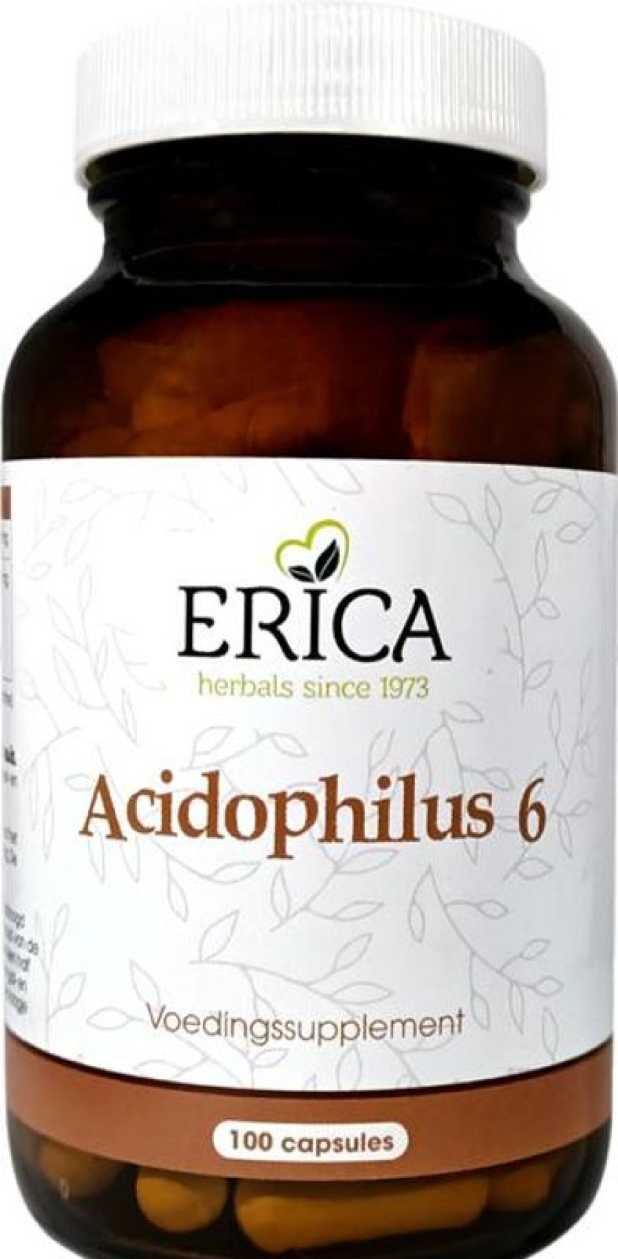 ERICA Pregnancy | Acidophilus 6 100 Caps