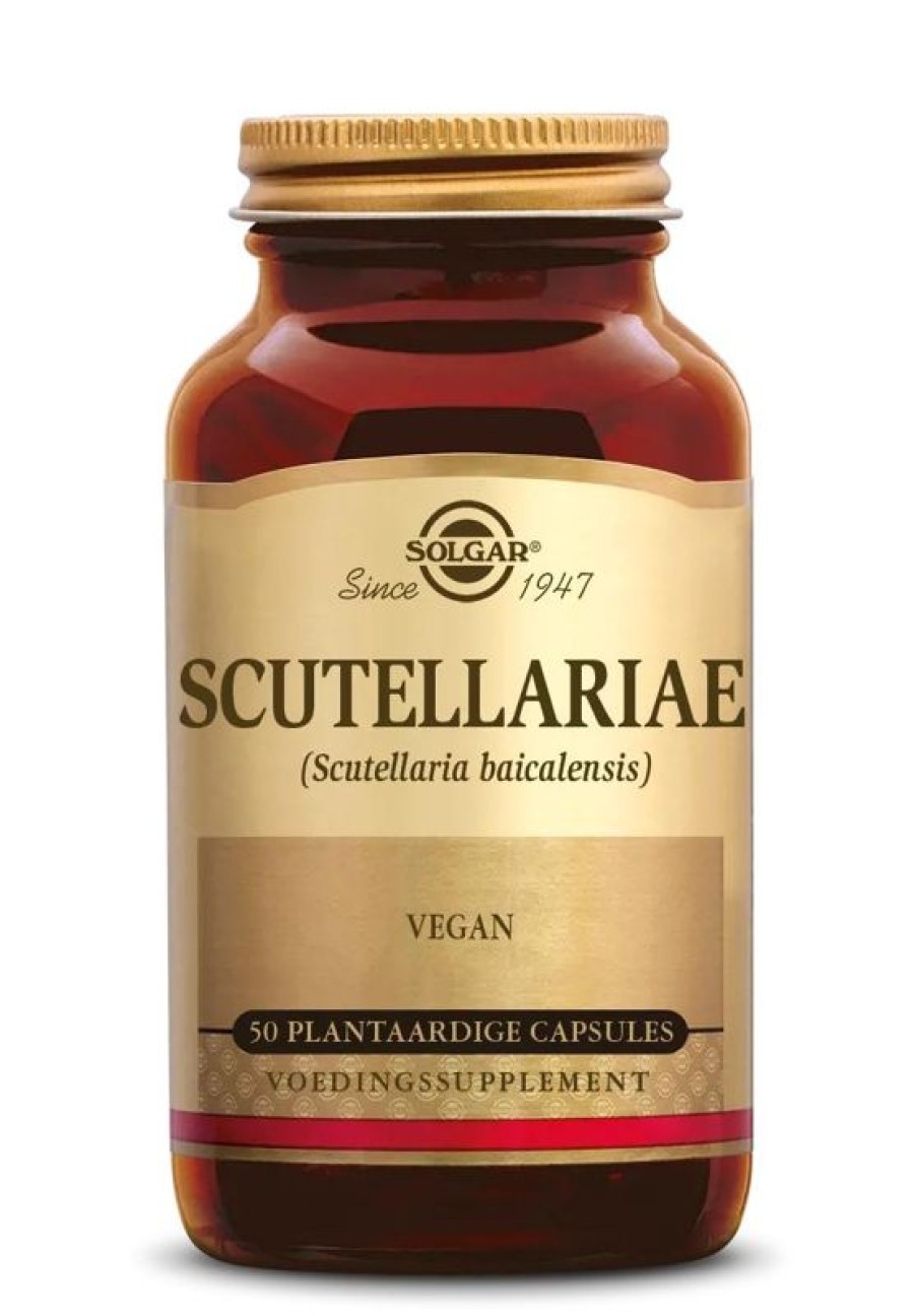 SOLGAR Pollen | Solgar Scutellariae Fp 50Cap