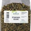 ERICA Spices | Greater Celandine 100 G