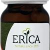 ERICA Respiratory tract | Pine Needle Oil 10 Ml