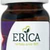 ERICA Essential Oils | Lavender Oil 10 Ml