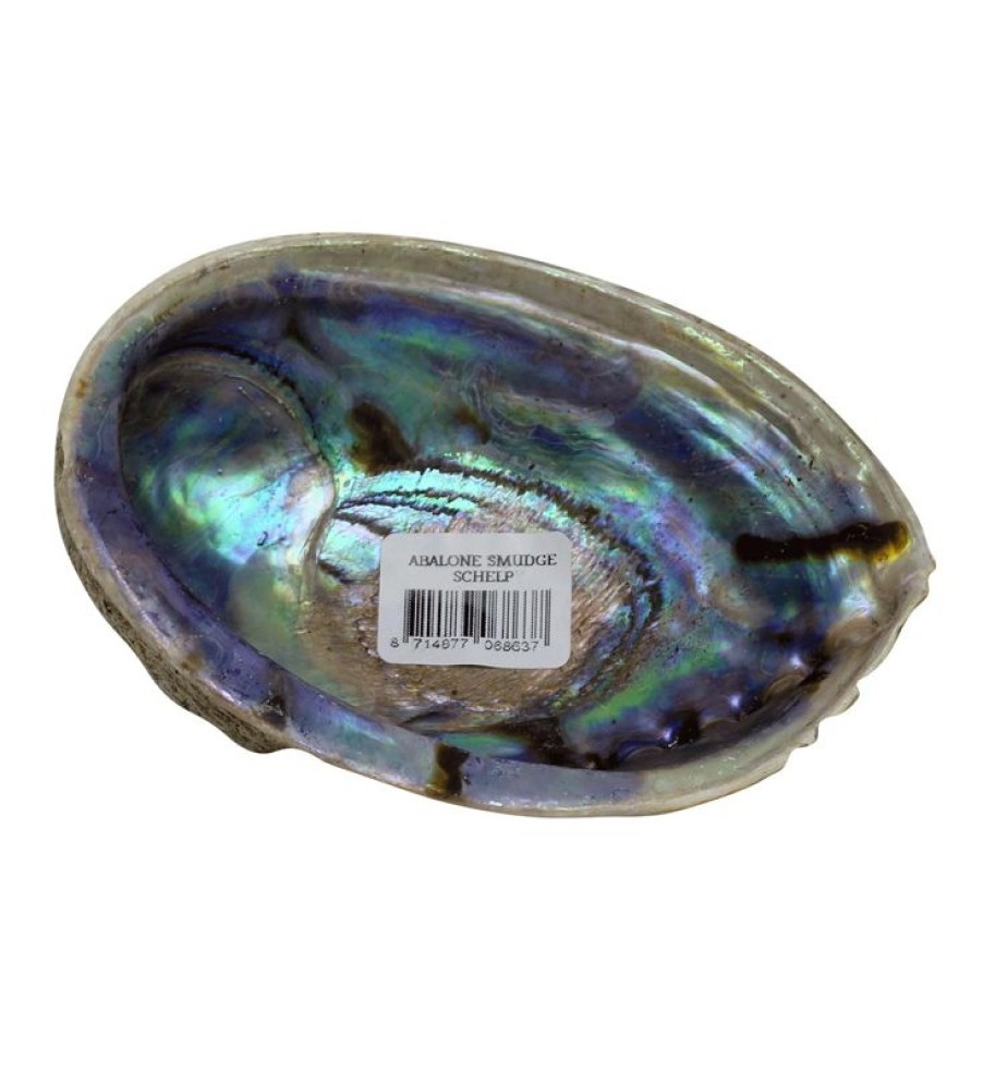 ERICA Incense | Abalone Smudge Shell P/St