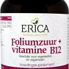 ERICA Vitamin B | Folic Acid 800 Mcg Tablets 100 Pcs