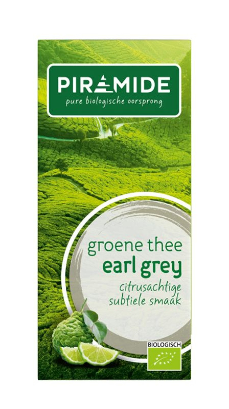 PIRAMIDE Green tea | Green Tea Earl Gray 20 Sachets