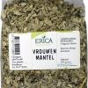 ERICA Spices | Lady's mantle 100 G