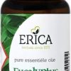 ERICA Respiratory tract | Eucalyptus Oil 25 Ml