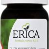 ERICA Essential Oils | Thyme Oil 10 Ml