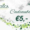 ERICA Gifts for Her | Gift voucher 5 Euro P/Pcs