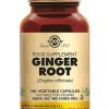 SOLGAR Digestion | Solgar Ginger Root 100Cap