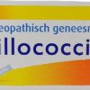 erica Resistance | Oscillococcinum 6 Doses 1S