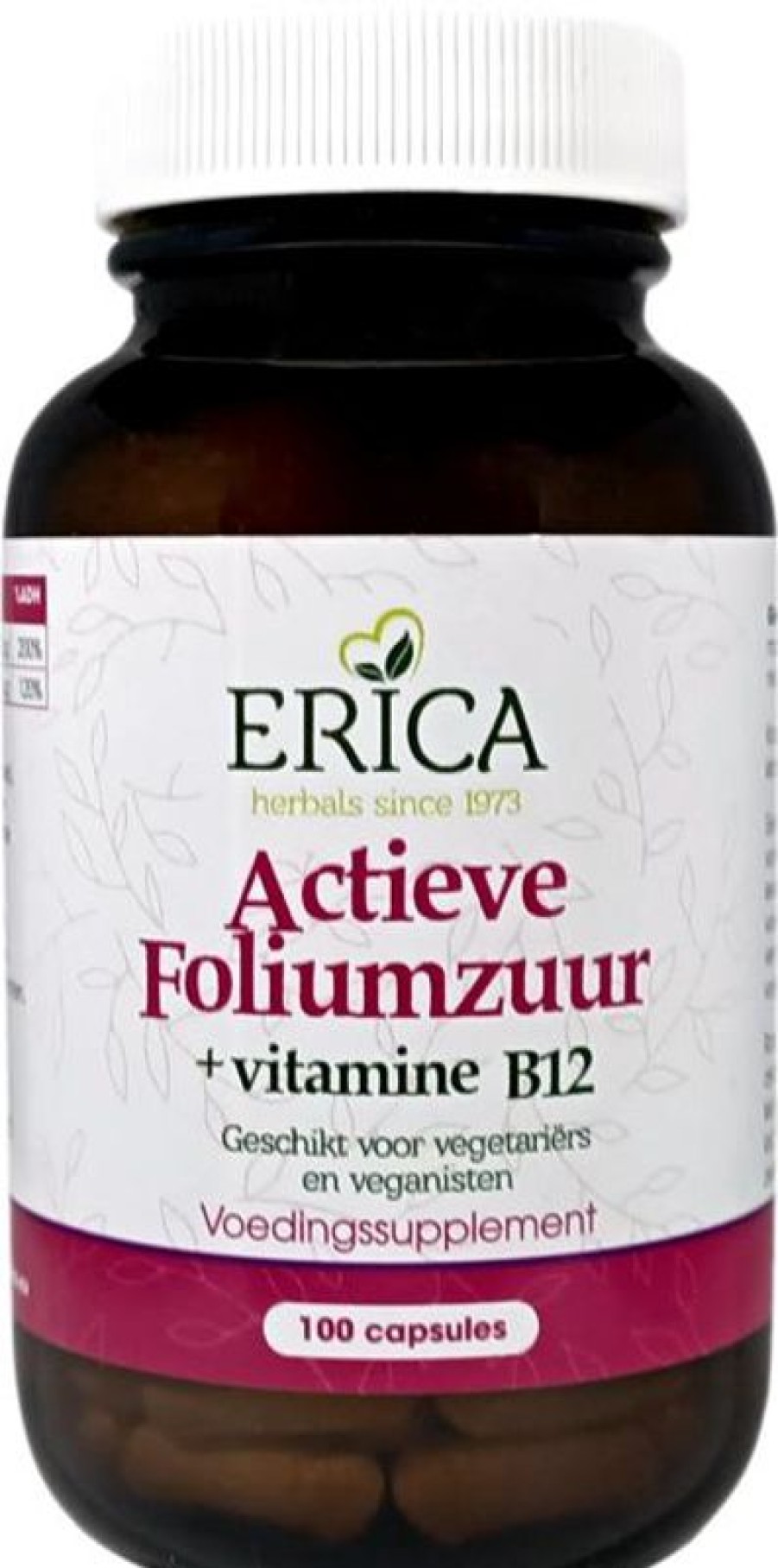 ERICA Vitamin B | Folic Acid Active 100 Caps