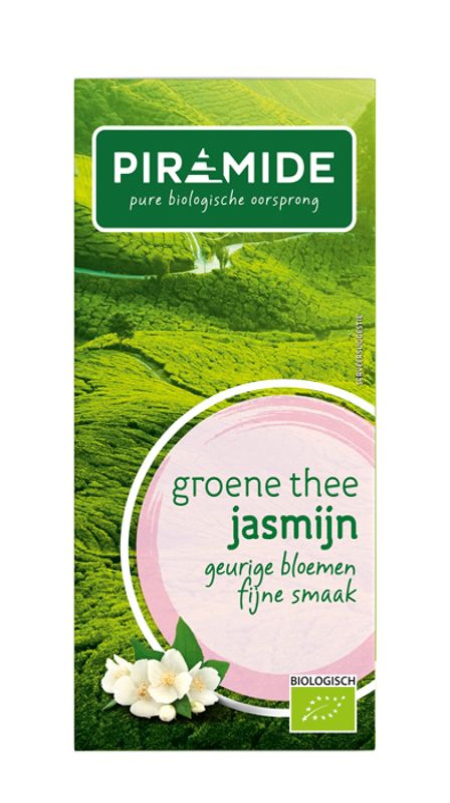 PIRAMIDE Green tea | Green Tea Jasmine 20 Sachets