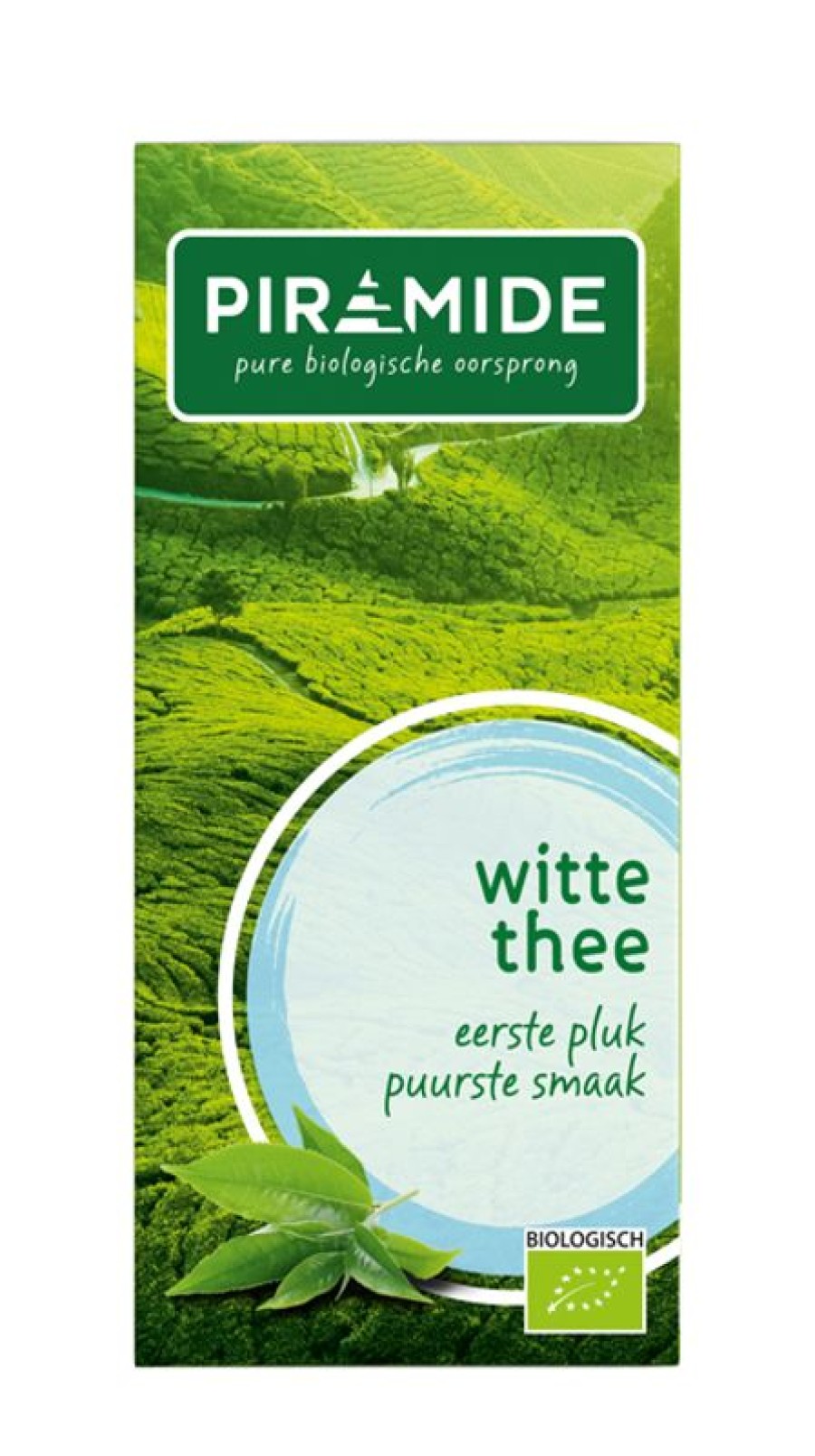 PIRAMIDE Green tea | White Tea Original 20 Sachets