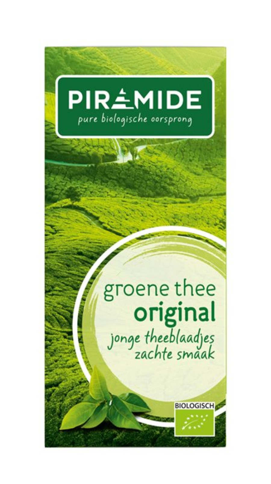 PIRAMIDE Green tea | Green Tea Original 20 Sachets