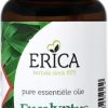 ERICA Essential Oils | Eucalyptus Oil 25 Ml