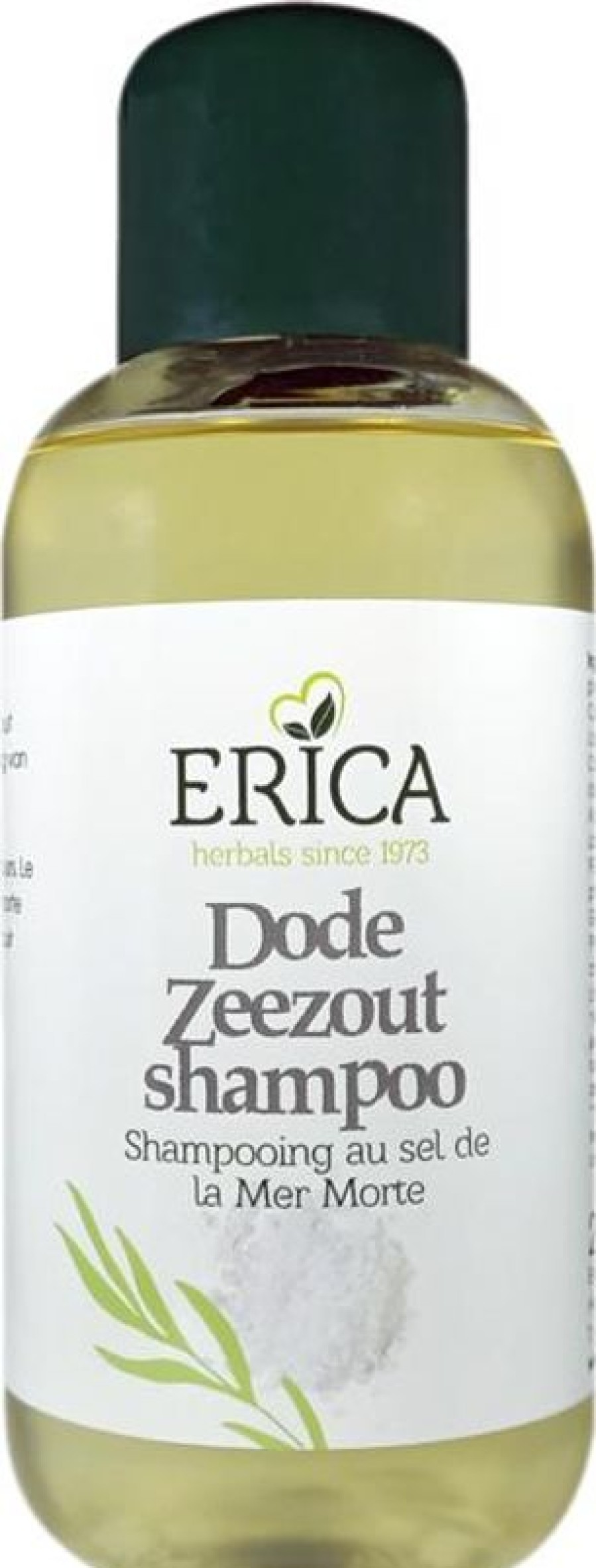 ERICA Hair loss | Dead Sea Salt Anti-Dandruff Shampoo 250 Ml