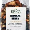 ERICA Fruit Tea | Kiwinas Berry 100 G