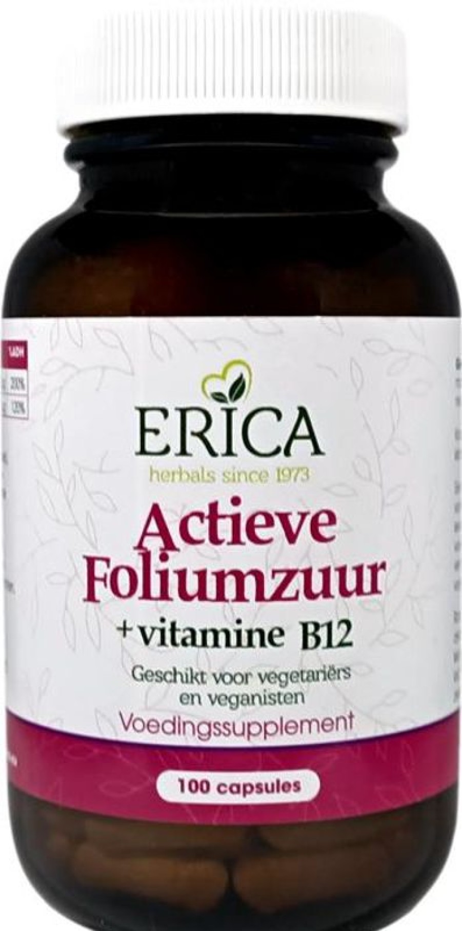 ERICA Vitamine B | Folic Acid Active 100 Caps